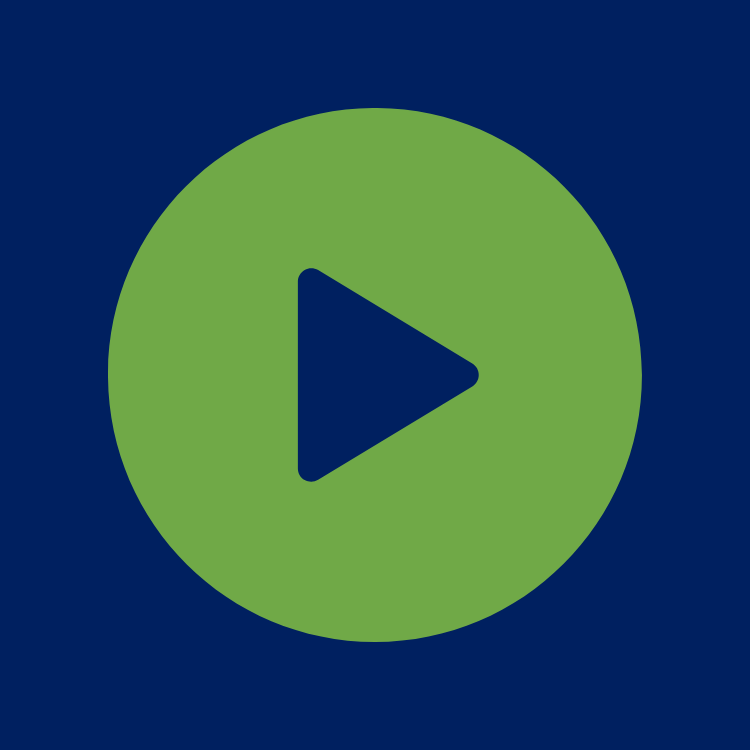 Imagenet Global - Videos